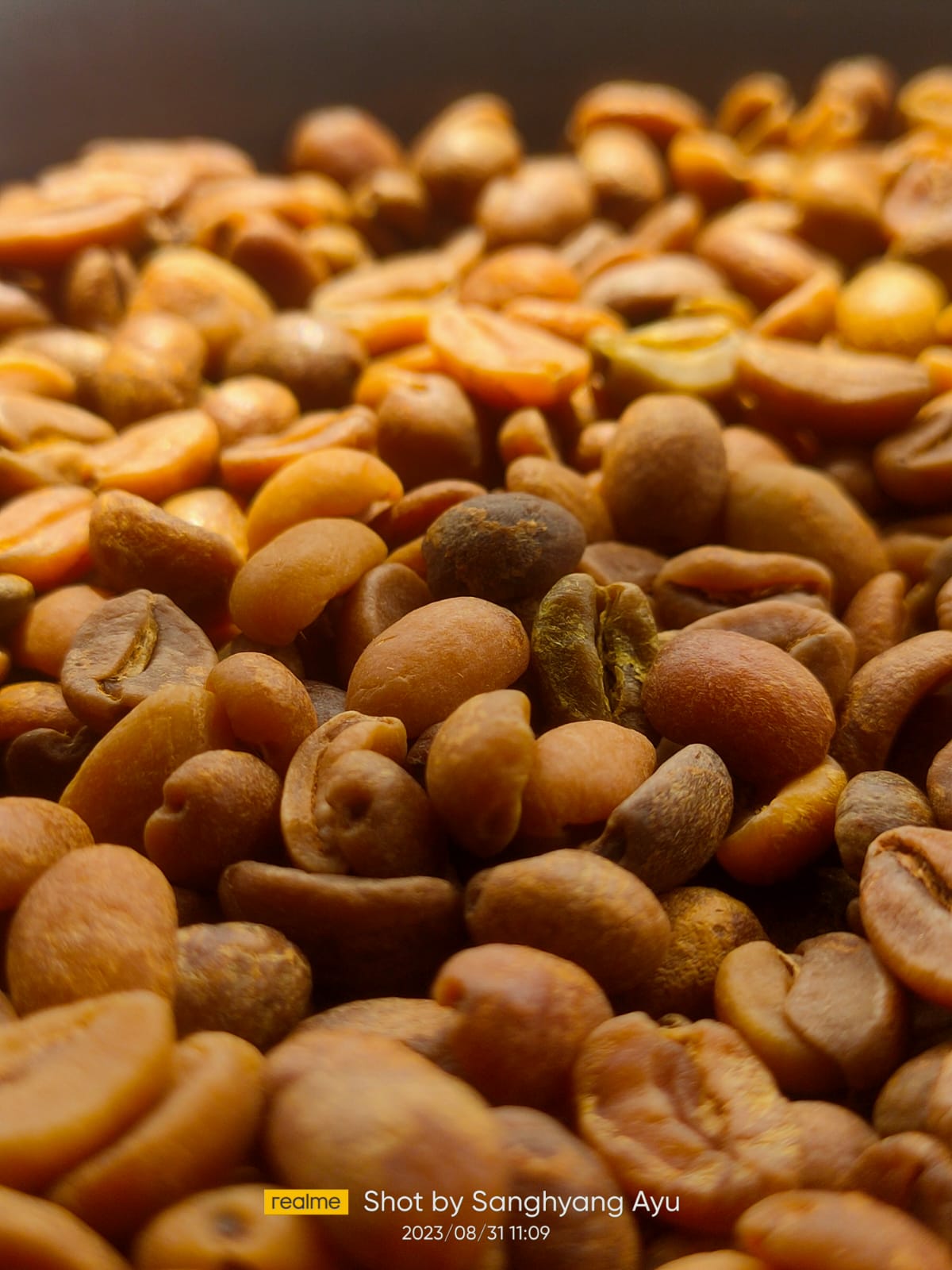 NATURAL FERMENTATION (WINEY)